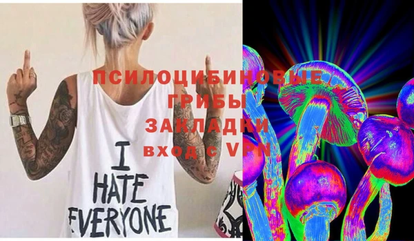 молекула духа Алексеевка