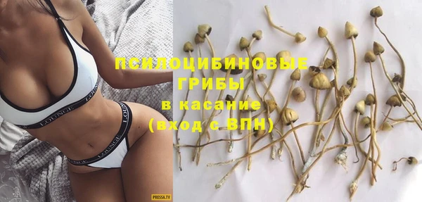 дурь Алзамай