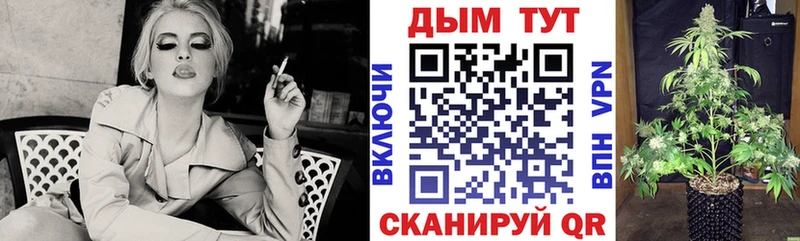 Бошки Шишки гибрид  hydra   Менделеевск 